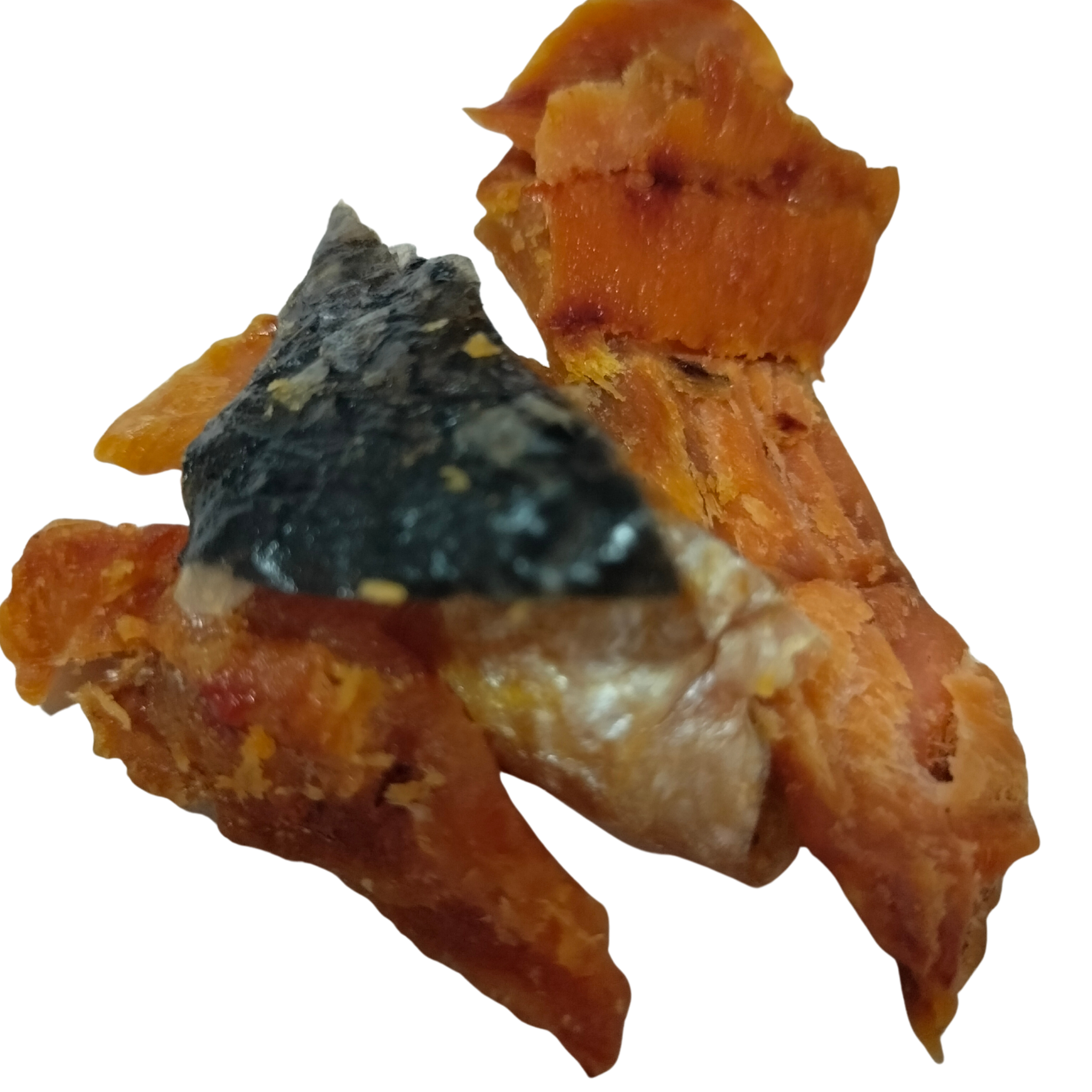 Salmón Deshidratado 100% Natural para Perros y Gatos | 100 g