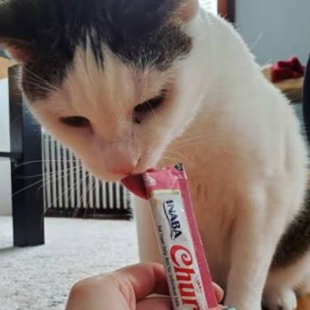 Churu | Snack Cremoso para Gatos | Sobre Sabor Surtido según Disponibilidad