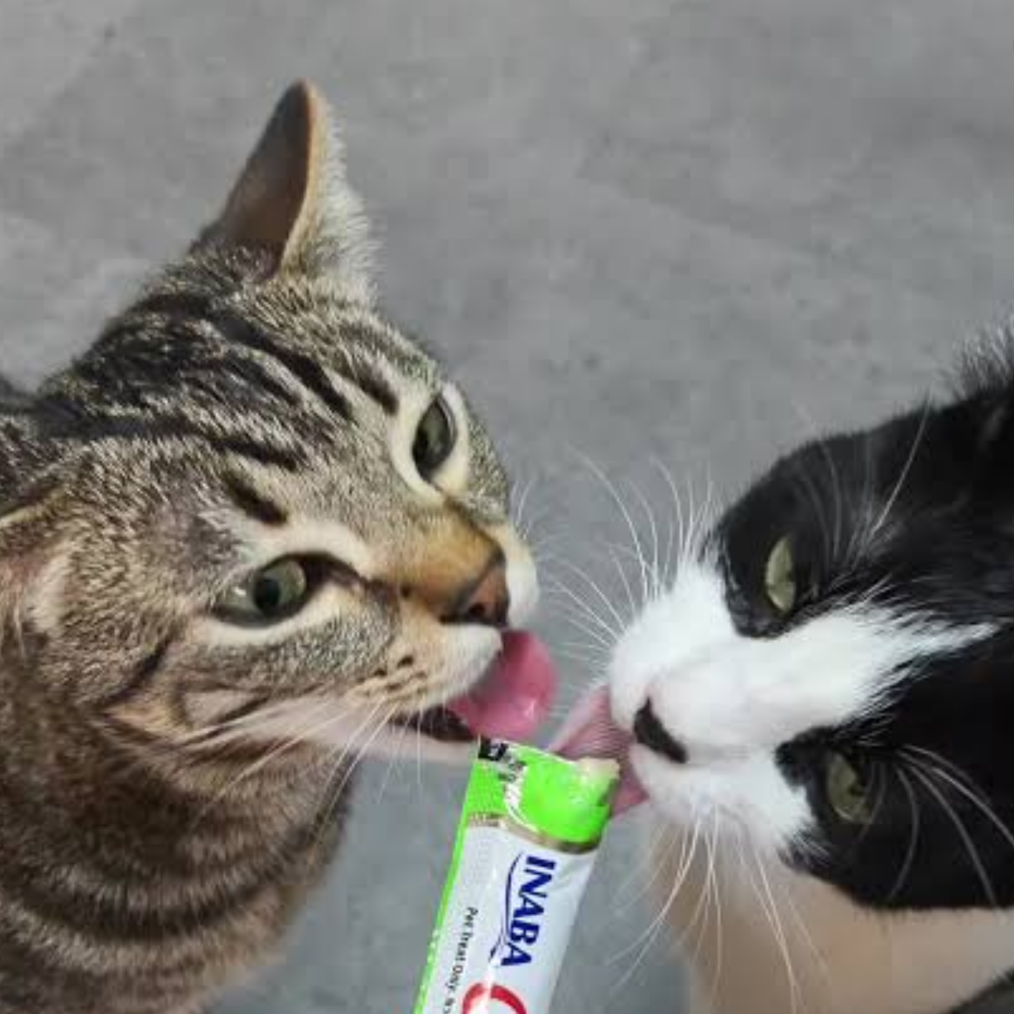 Churu | Snack Cremoso para Gatos | Sobre Sabor Surtido según Disponibilidad