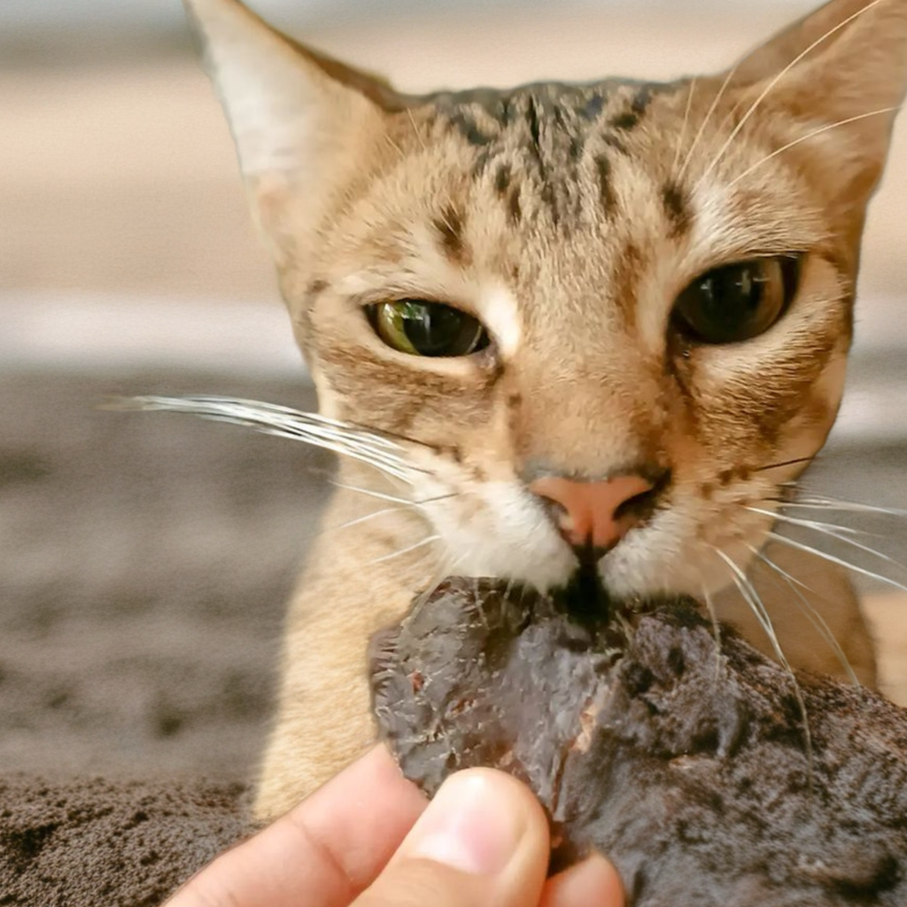 Hígado Deshidratado 100% Natural para Perros y Gatos | 100 g