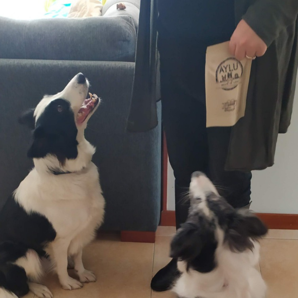 Corazón Deshidratado 100% Natural para Perros y Gatos | 100 g