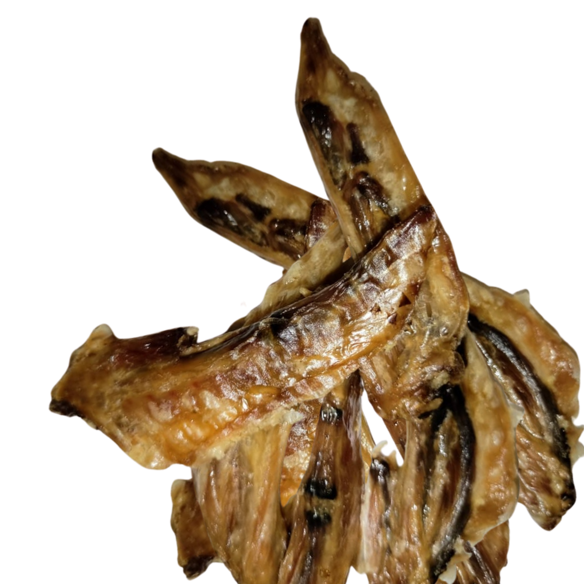 Punticas de Ala de Pollo Deshidratadas 100% Naturales para Perros y Gatos | Paquete x30 Unidades