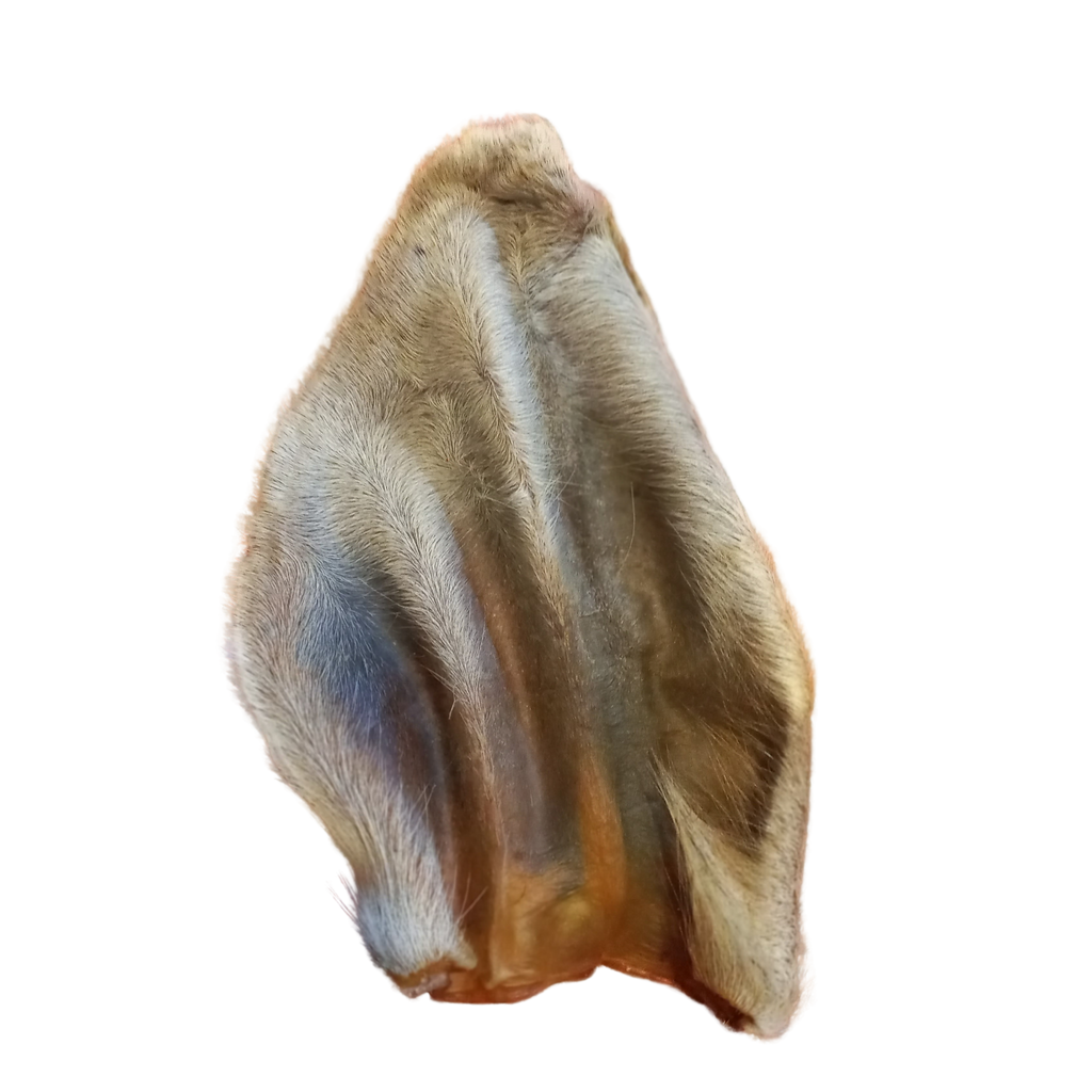 Orejas de Res con Pelo Deshidratadas 100% Naturales para Perros | Paquete x2 Unidades
