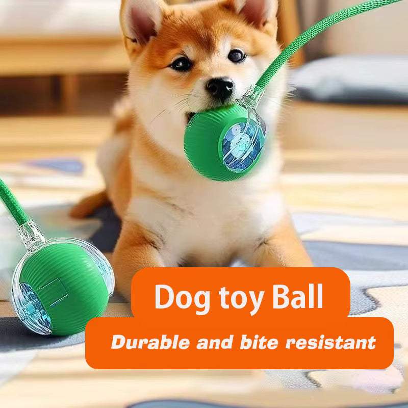 Pelota Interactiva Inteligente Recargable para Perros y Gatos | USB Tipo C