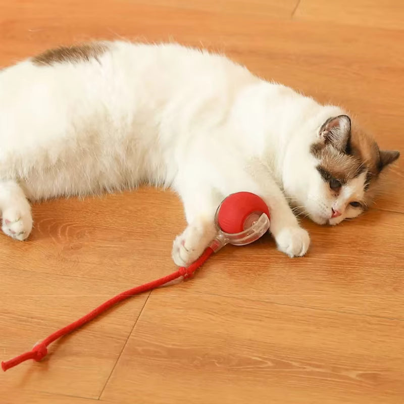 Pelota Interactiva Inteligente Recargable para Perros y Gatos | USB Tipo C