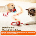 Pelota Interactiva Inteligente Recargable para Perros y Gatos | USB Tipo C