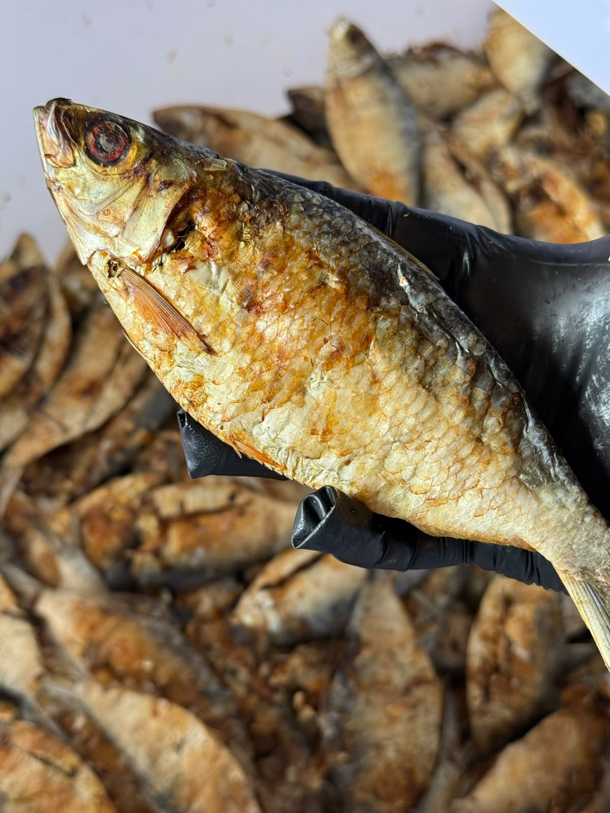 Sardinas Deshidratadas 100% Naturales para Perros y Gatos