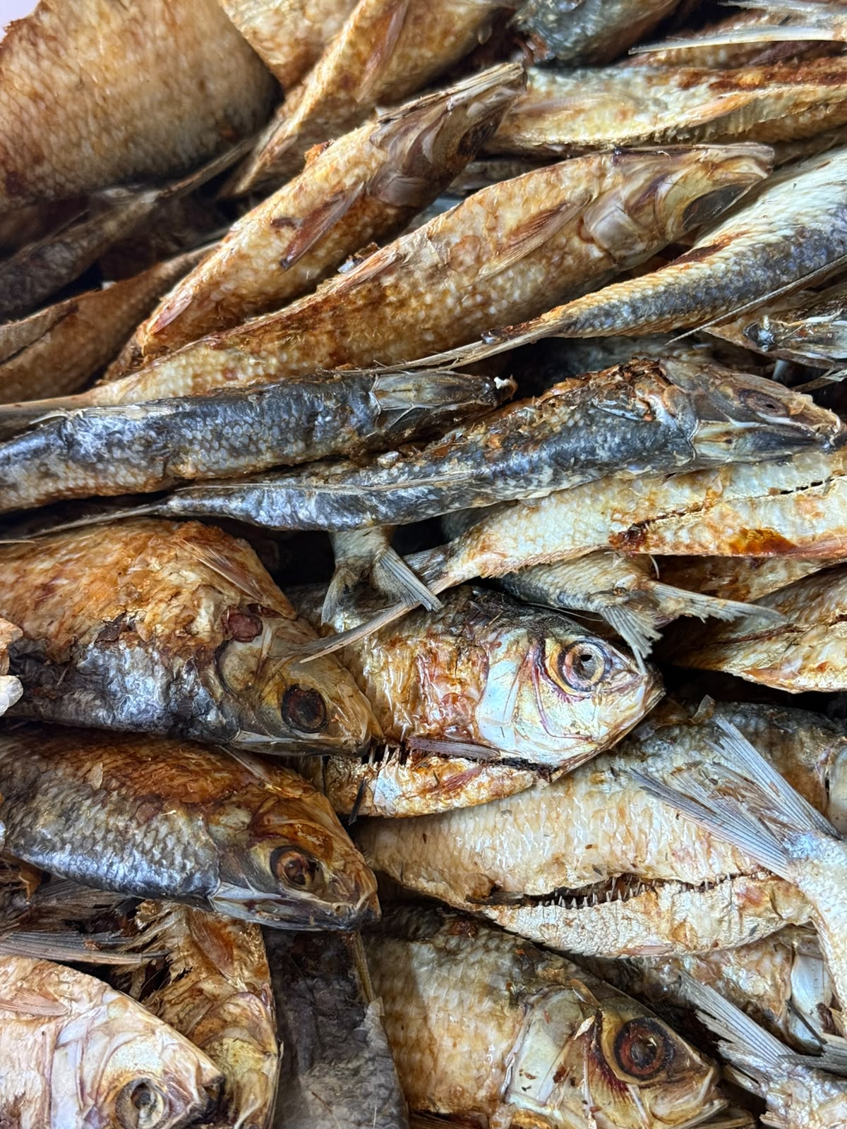 Sardinas Deshidratadas 100% Naturales para Perros y Gatos