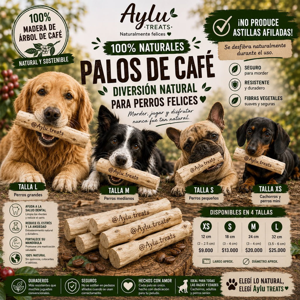 Palos de Café Aylu Treats - 4 perros de diferentes razas con sus palos