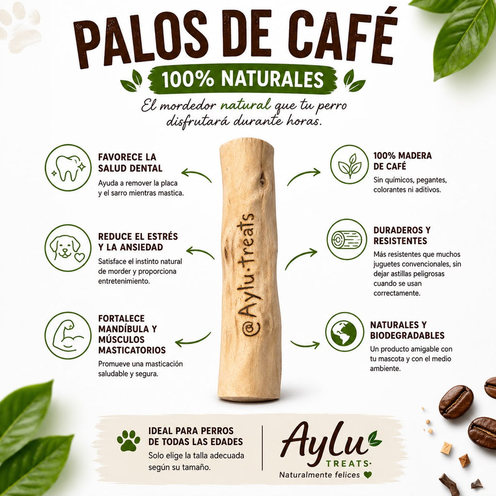 Palo de Café Aylu Treats - Beneficios: salud dental, reduce estrés, fortalece mandíbula