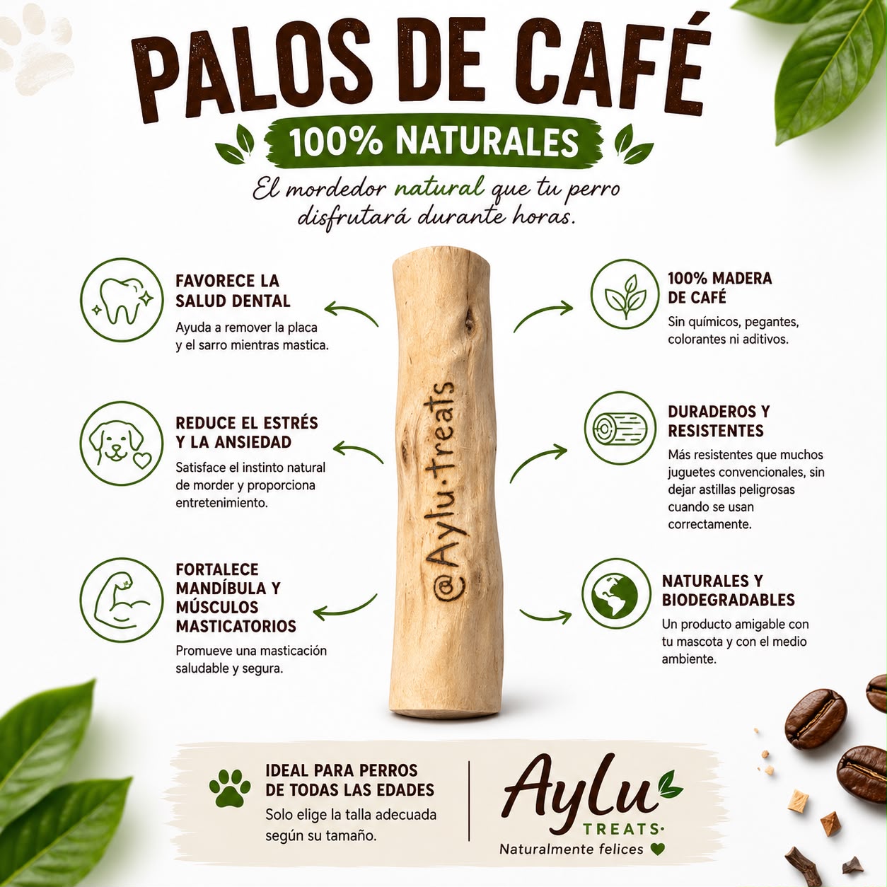 Palo de Café Aylu Treats - Beneficios: salud dental, reduce estrés, fortalece mandíbula